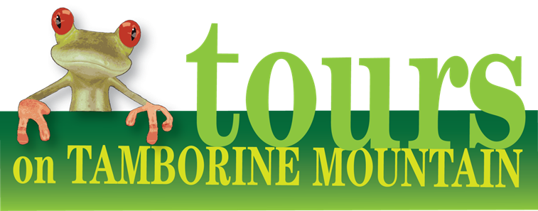 Tours on Tamborine Mountain